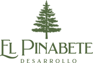 pinabete verterecurso 7